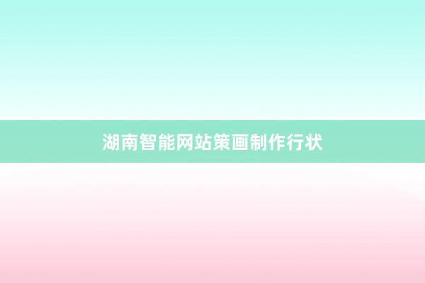 湖南智能网站策画制作行状